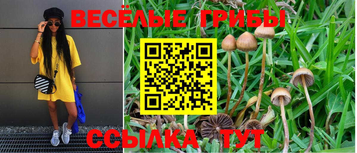 Псилоцибиновые грибы Magic Shrooms  Псилоцибиновые грибы GOLDEN TEACHER  Вход с VPN  Наро-Фоминск 